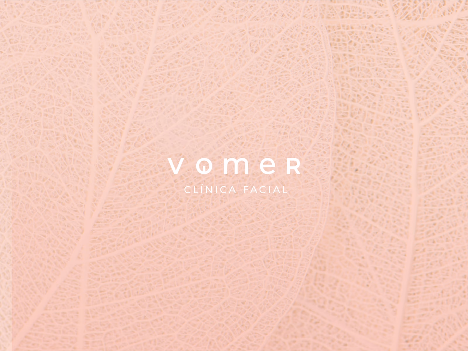 identidad Visual_vomer-1
