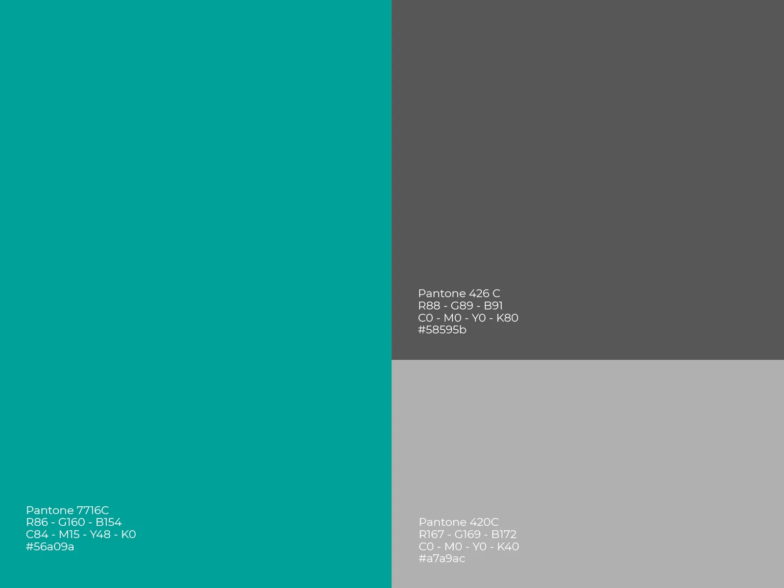 presentacion_visual_parsell_3