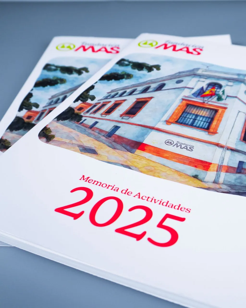 Memoria de actividades 2025 para fundación · 3