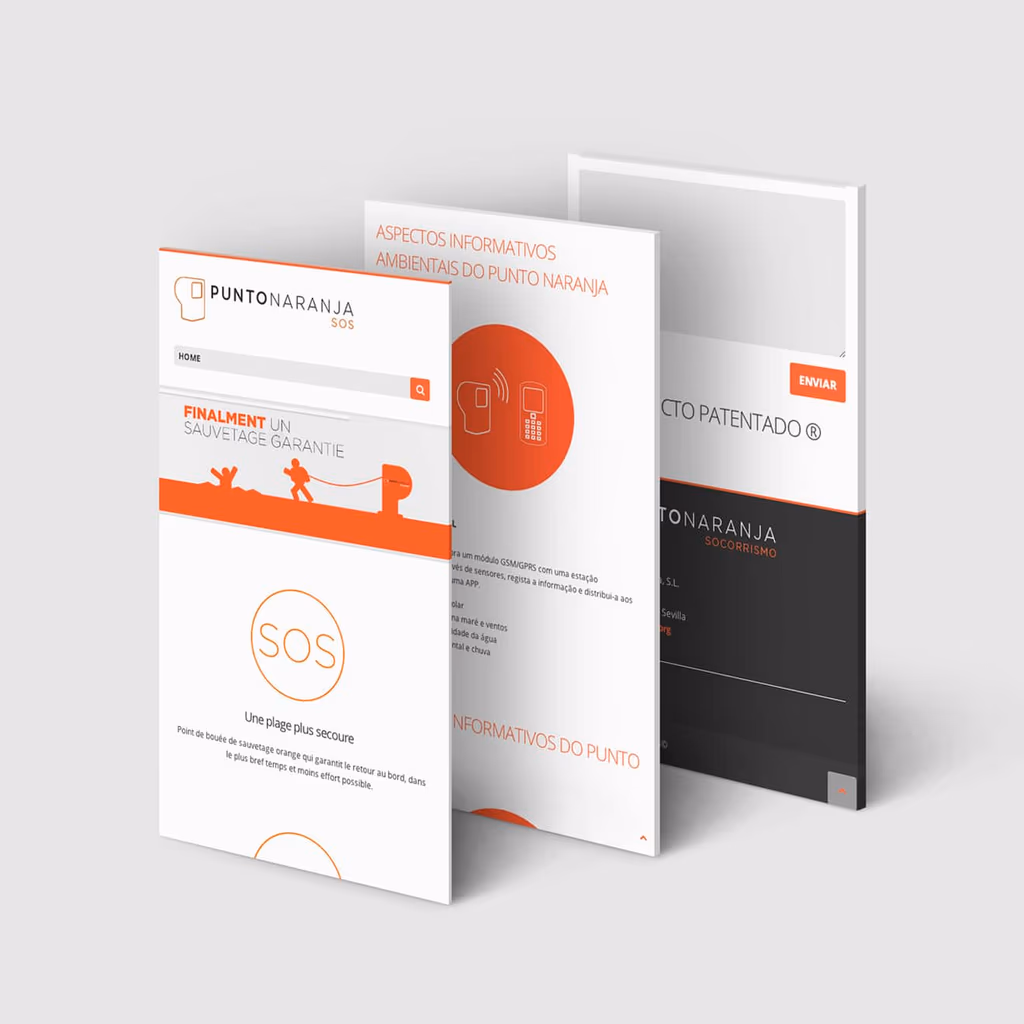Diseño, programación y estructura para web
