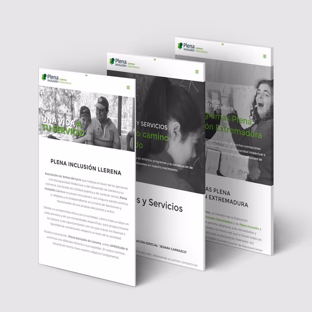 Diseño, programación y redacción web