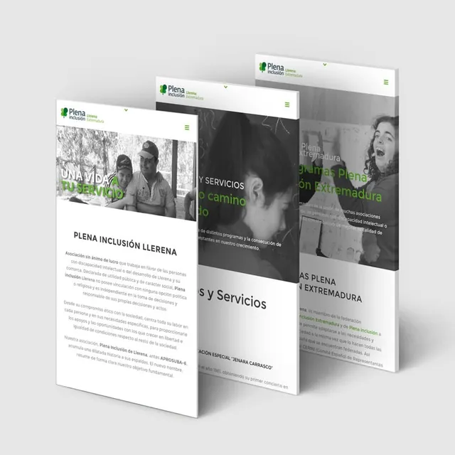 Diseño, programación y redacción web